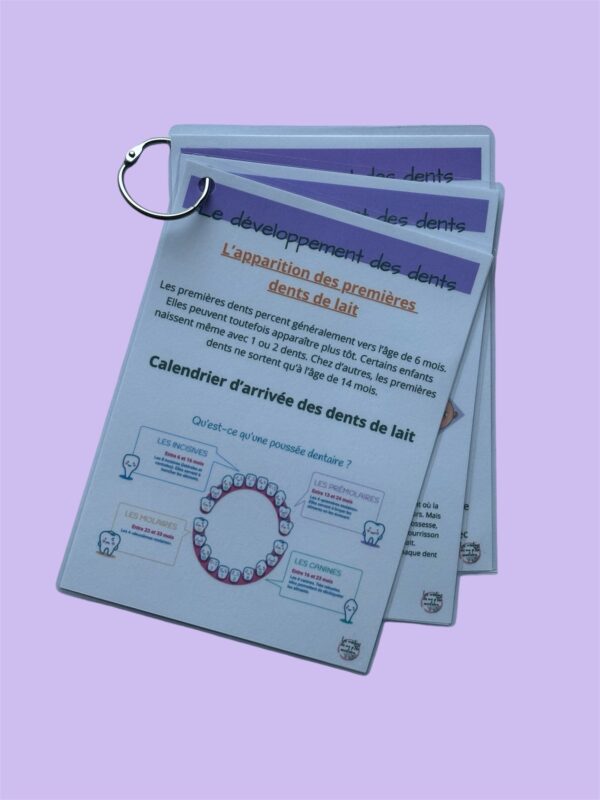 Le développement des dents